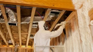 Spray Foam Insulation