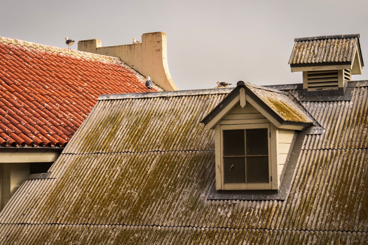 Can spray foam cause roof rot